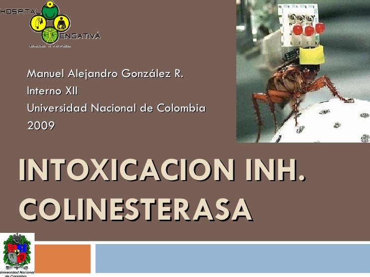 MUERTE INTOXICACION ORGANO FOSFORADOS muerte intoxicacion organo fosforados: