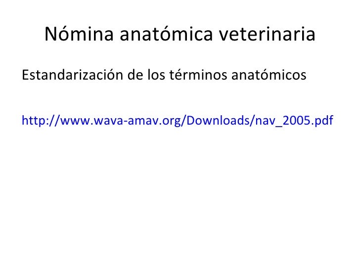 Illustrated Veterinary Anatomical Nomenclature