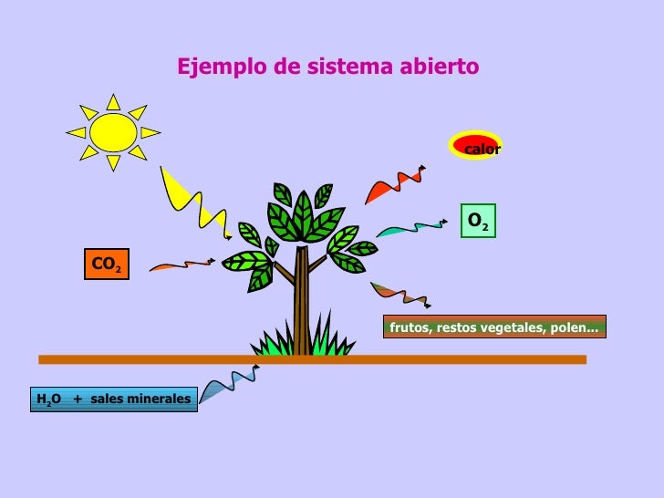 INTRODUCCIÓN A LAS CIENCIAS DE LA TIERRA
