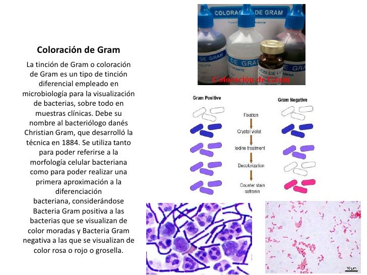Introducción al laboratorio clínico