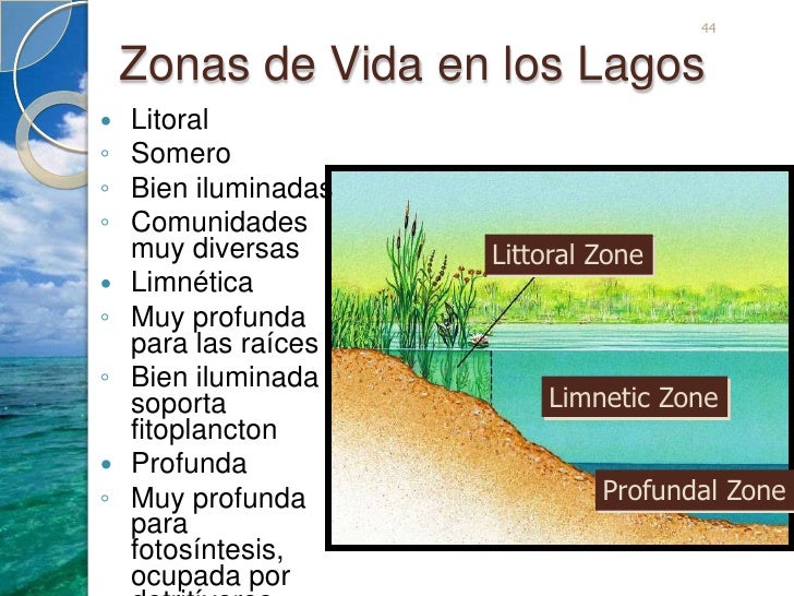 Introduccion Ecología Marina