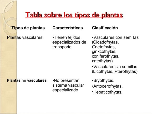 ttiippooss ddee ppllaannttaass tipos de plantas características ttiippooss ddee ppllaannttaass tipos de plantas características