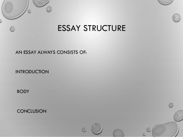 Essay writing programs