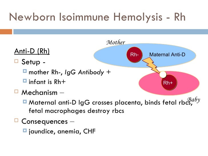 Introduction and Anemia 2007
