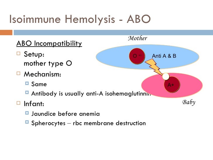 Introduction and Anemia 2007