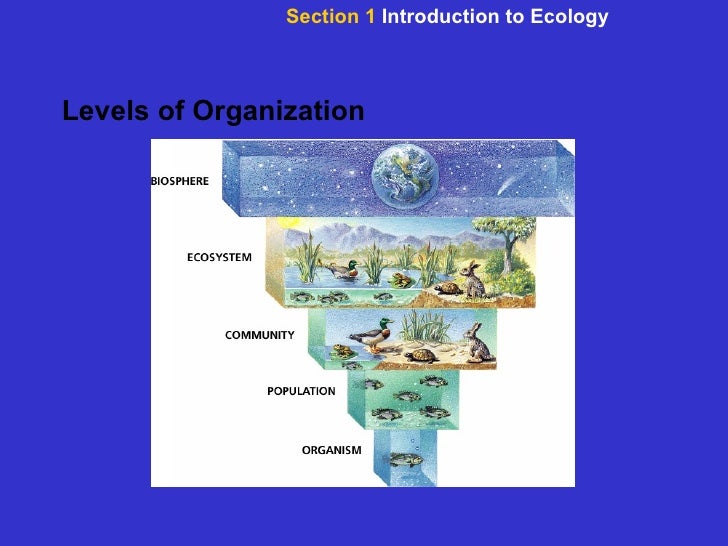 Introduction To Ecology