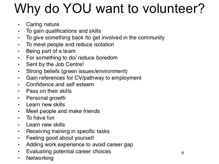 college essay about volunteer work