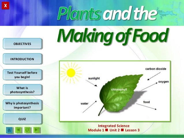 why is photosynthesis important why is photosynthesis important