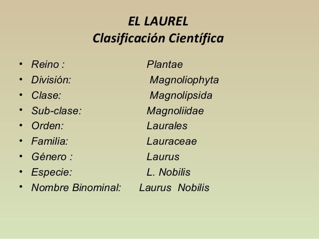 El medio público de las lombrices el coñac
