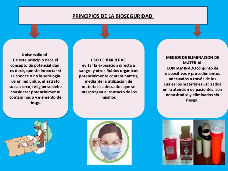 Cuales Son Los Principios Universales De La Bioseguridad es.slideshare.net