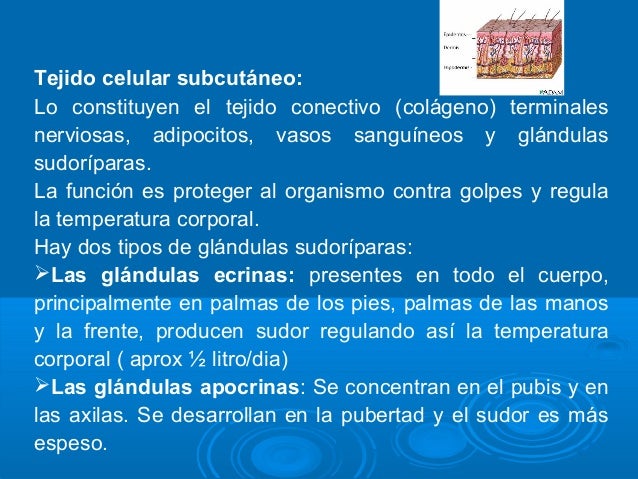 Como librarse de los granos y las huellas de ellos y las personas grasas