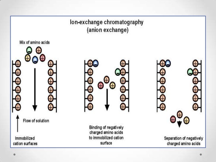 ion exchange chromatography