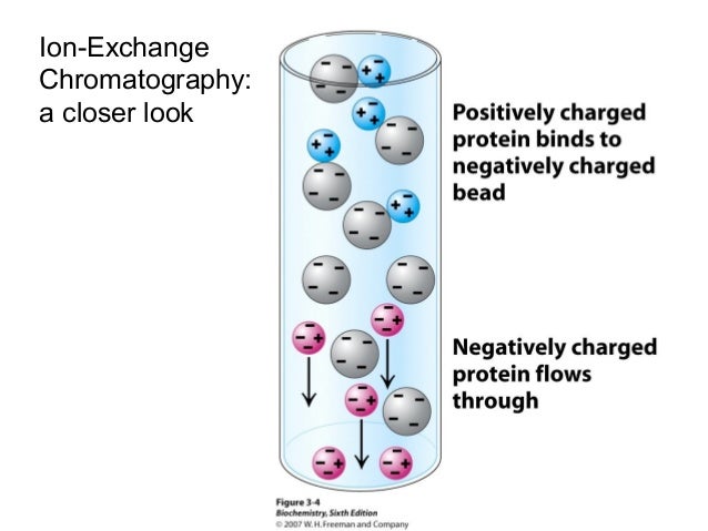 ion exchange chromatography lecture cation exchange chromatography