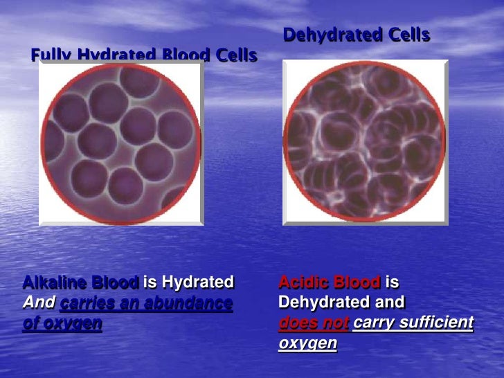 Ion ways slide presentation