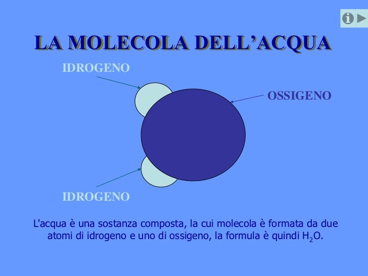 Considerava L Acqua L Origine Di Tutte Le Cose