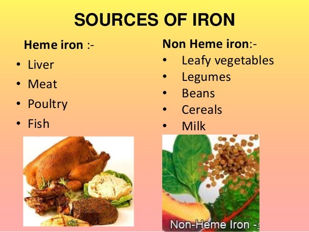 Best Iron Rich Foods Best Iron Rich Foods