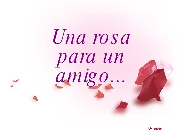 Imagenes De Rosas Para Un Amigo | ir una rosa para un amigo Imagenes De Rosas Para Un Amigo | ir una rosa para un amigo