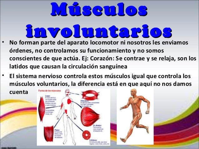 ISABEL MARTÍN. FUNCIÓN DE RELACIÓN