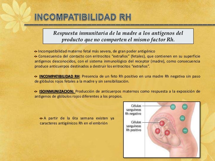 ISOINMUNIZACION MATERNOFETAL