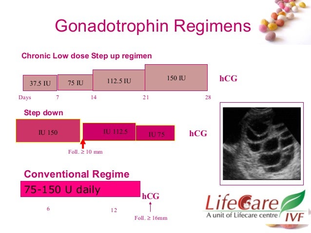 Progesterone Level After Clomid