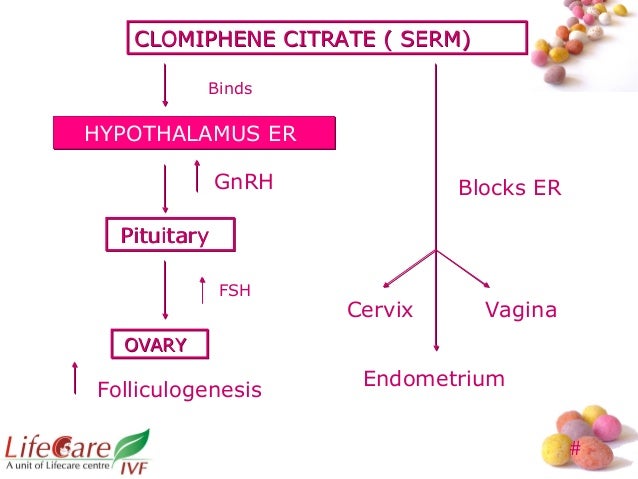 clomid 100mg when did you ovulate