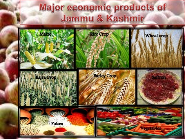 Jammu Kashmir Ppt jammu-kashmir-ppt