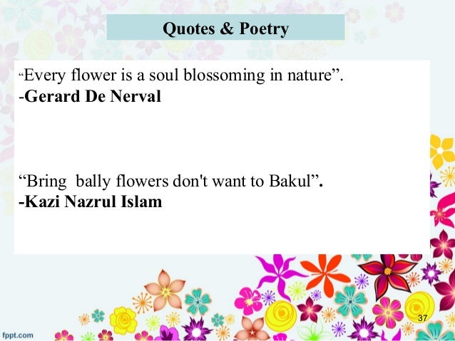 Kazi Nazrul Islam quotes in english Kazi Nazrul Islam quotes in english