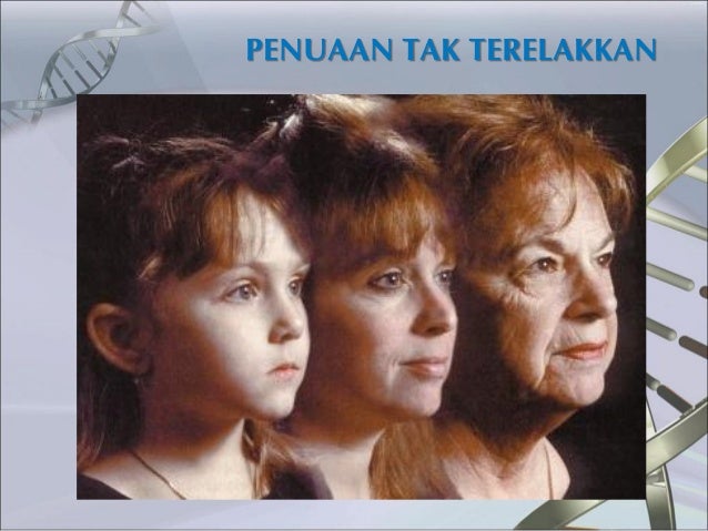 Joybiz Kabupaten Labuhanbatu