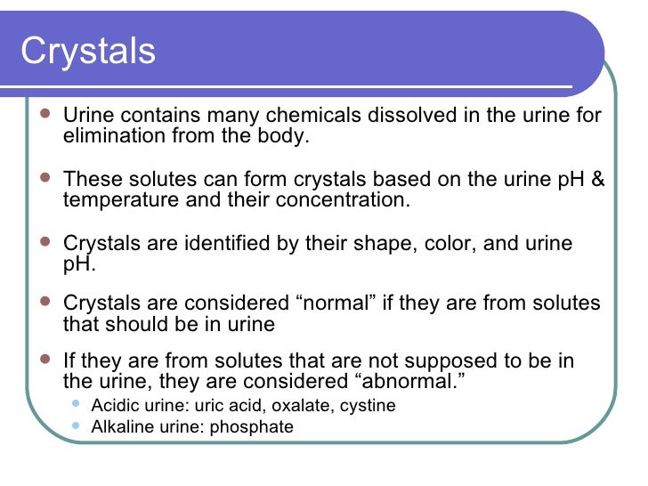 Urinalysis 3/27
