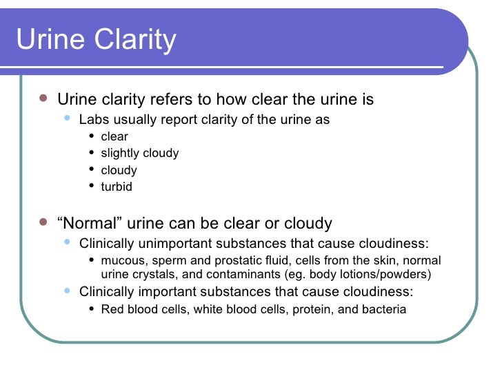 Urinalysis 3/27