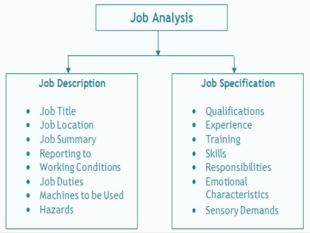 general office job description