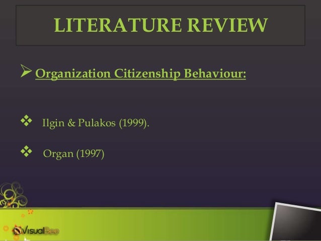 literature review on job satisfaction literature review on job satisfaction