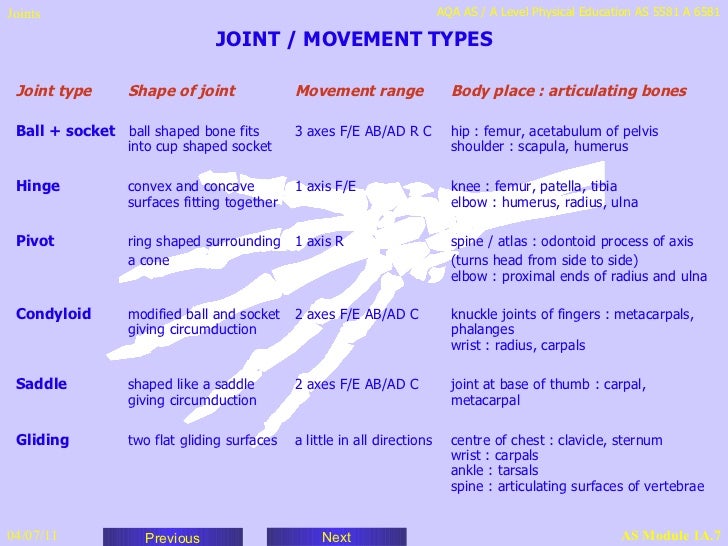 Joints