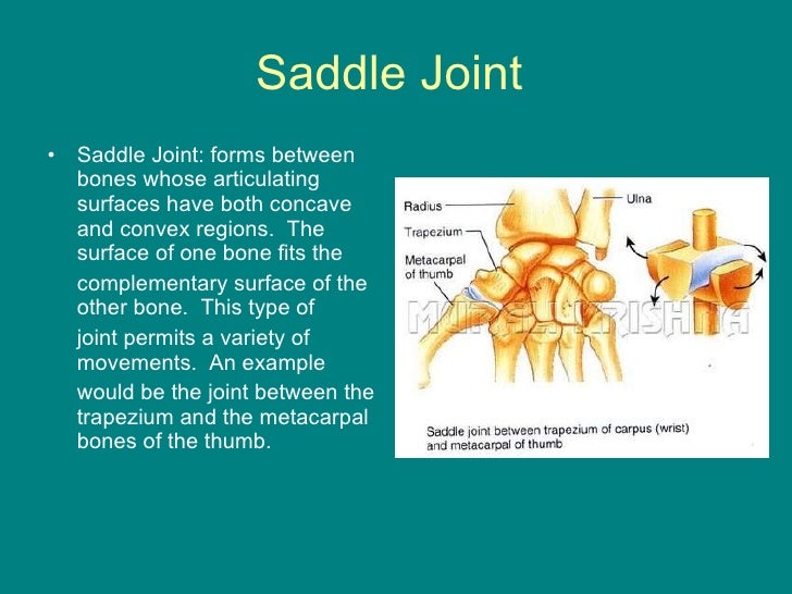 Joints powerpoint