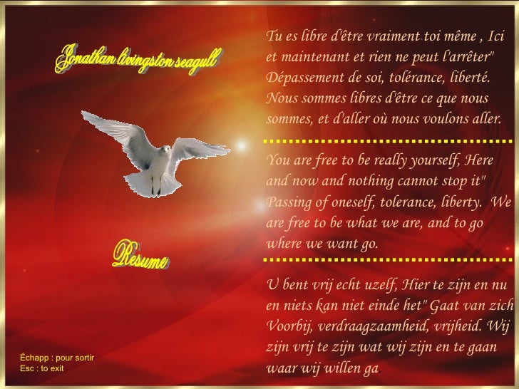 jonathan livingston seagull essay jonathan livingston seagull essay