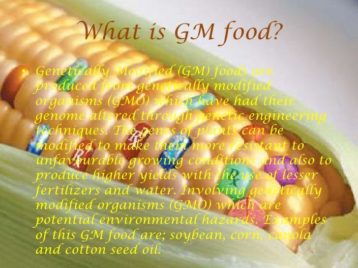 the debate over genetically modified crops essay View essay - genetically modified food from eng 112 at northern virginia community college rich, m (2004, spring) the debate over genetically modifed crops in the united states: reassessment of. the debate over genetically modified crops essay View essay - genetically modified food from eng 112 at northern virginia community college rich, m (2004, spring) the debate over genetically modifed crops in the united states: reassessment of.