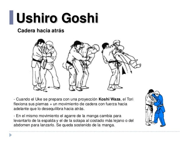 Ushiro Goshi
Cadera hacia atrás
- Cuando el Uke se prepara con una proyección Koshi Waza, el Tori
flexiona sus piernas + u...