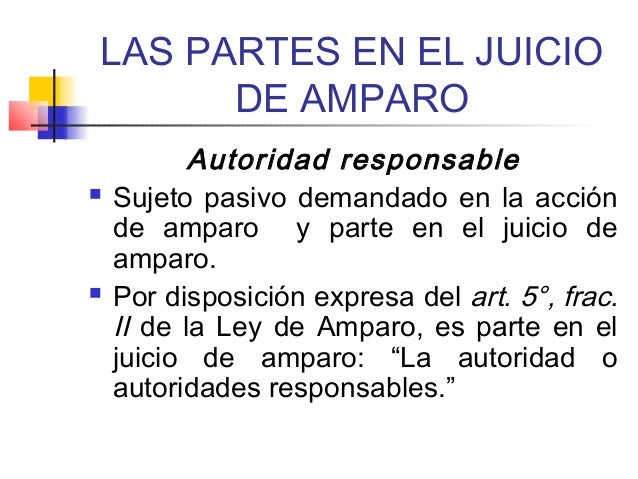 PRINCIPIOS RECTORES DEL JUICIO DE AMPARO