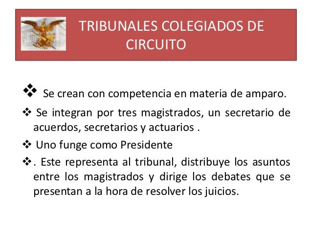 Justicia federal
