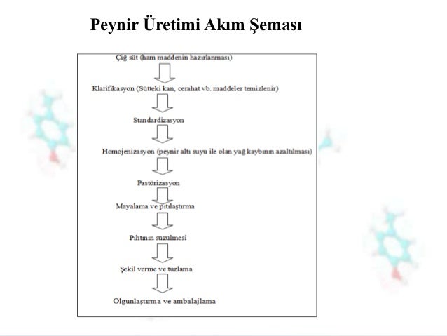 KAŞAR PEYNİRİ ÜRETİMİ