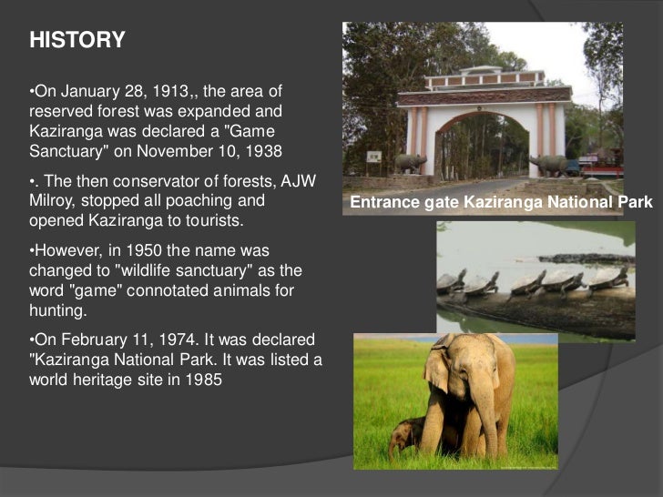 Kaziranga national park essay in english pdf picture