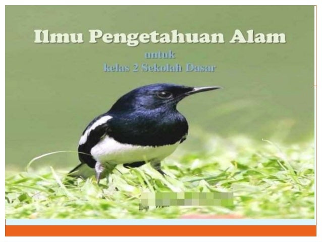 kelas 2 ipa kelas 2 ipa
