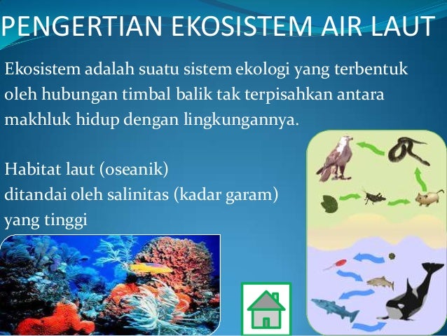 ekosistem air tawar