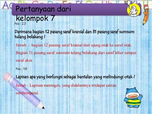 Sistem Indra Manusia