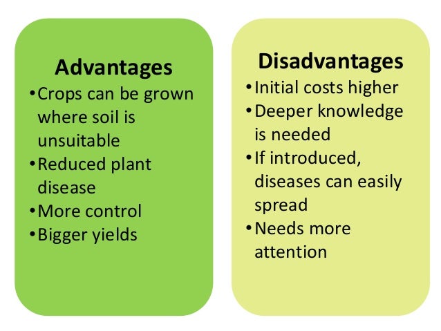 disadvantages of hydroponics