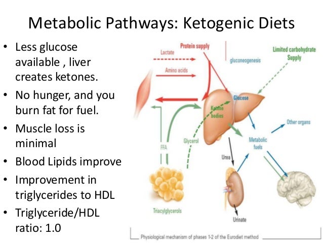 ketogenic-diets-8-638.jpg?cb=1382922064