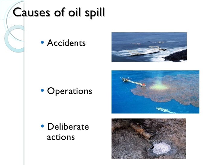 The Hazardous Impact Of Oil Spills On The Environment Essay The Hazardous Impact Of Oil Spills On The Environment Essay On English Subject also Persuasive Essays For High School Someone Write My Lab Report