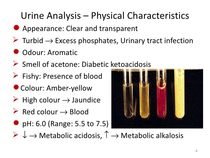 Kidney function test