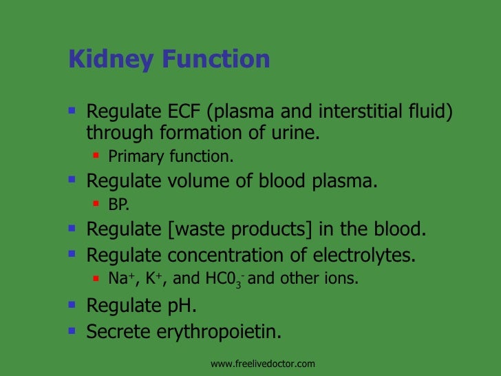 the overall function of the kidneys is to