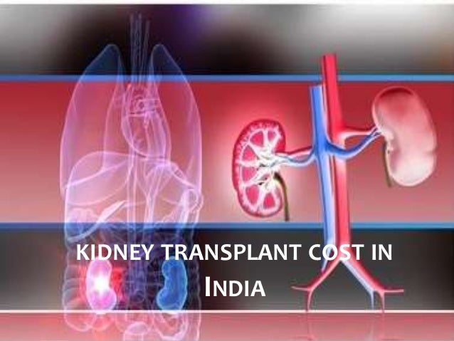 Kidney transplant cost in india